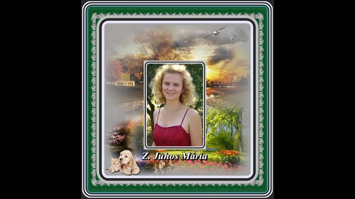 Z. Juhos Mária : Azt mondják nem adnak